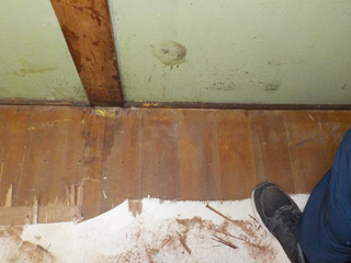床下や柱下部に浸み込んだ体液部分の床材