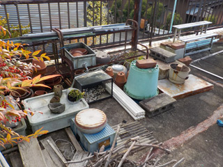 車庫屋上のビフォア