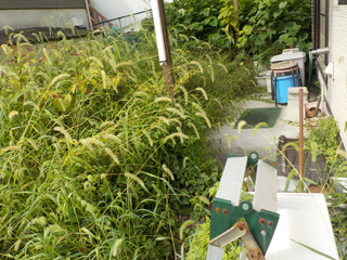 家の外周のビフォア