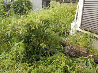 家の外周のビフォア