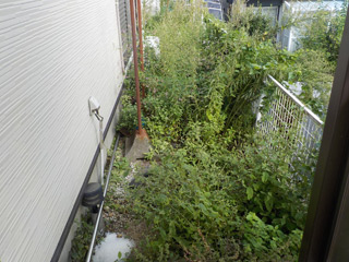 家の外周のビフォア