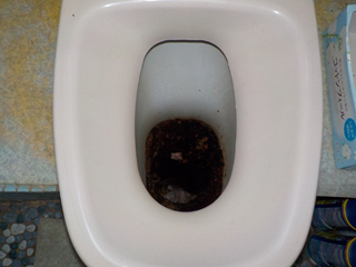 トイレ便器のアフター