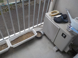 ベランダのビフォア