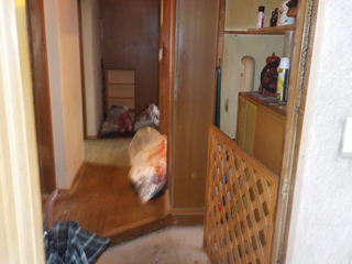 玄関のビフォア