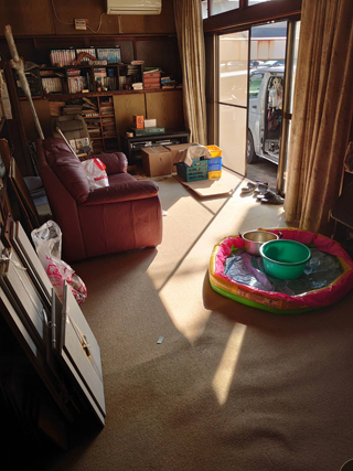 リビングのビフォア