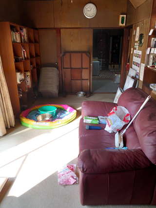 リビングのビフォア