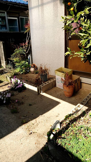 家の外周のビフォア