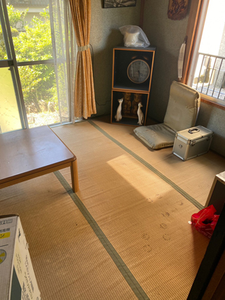 部屋のビフォア