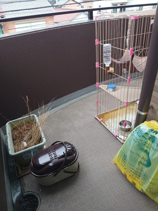 ベランダのビフォア