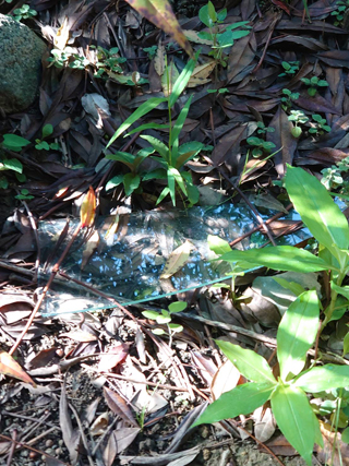 南側のビフォア