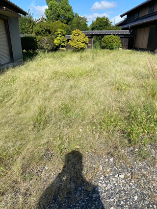 南側のアフター