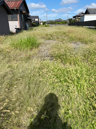 家裏東側奥から西側奥のアフター