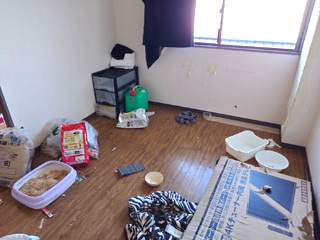 部屋1のビフォア