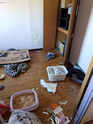 部屋1のビフォア