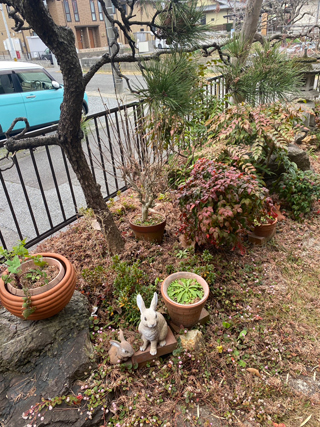 家の外周のビフォア