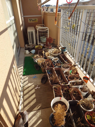 ベランダのビフォア