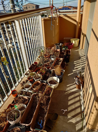 ベランダのビフォア