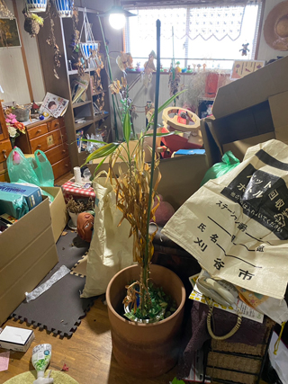 キッチン入り口右手のビフォア