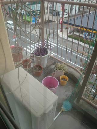 ベランダのビフォア