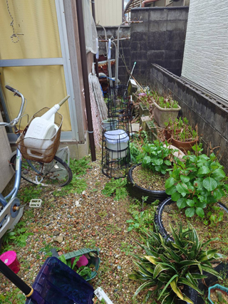 家の外周のビフォア