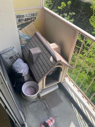 ベランダのビフォア