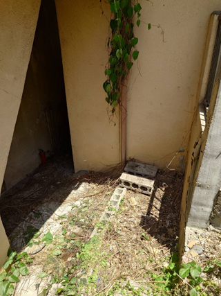 勝手口前のアフター