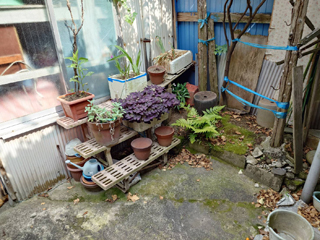 外周のビフォア