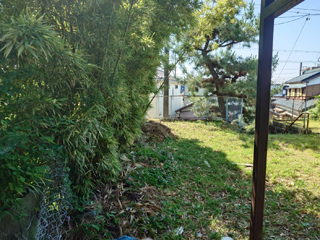 横側のビフォア