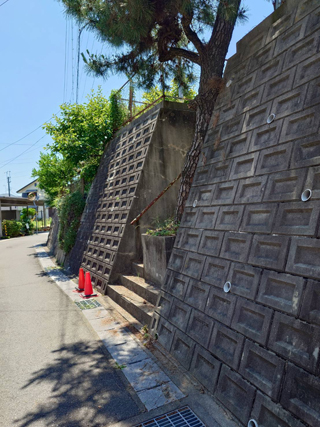 道路側松のアフター