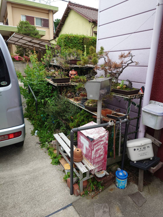 車庫と庭のビフォア