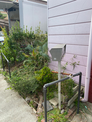 車庫と庭のアフター