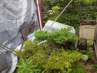 車庫と庭のビフォア