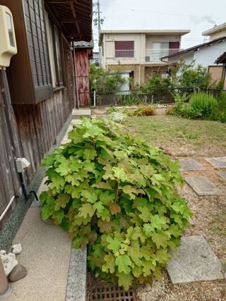 家の外周のアフター