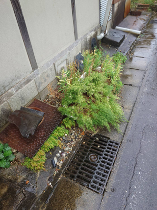 借家道路側のビフォア