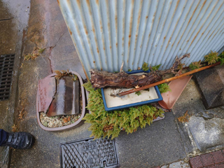 借家１入口のビフォア