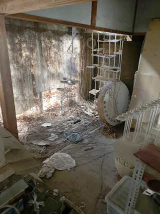 縁側のビフォア