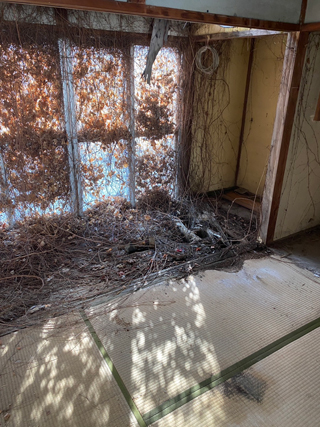 縁側のアフター