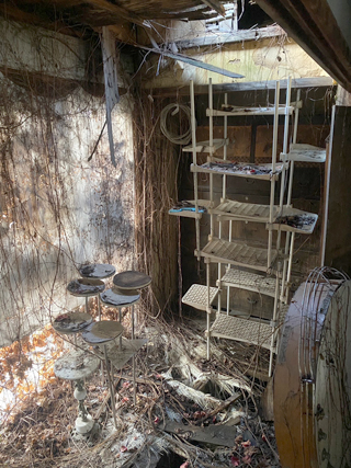 縁側のビフォア