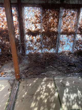 部屋2のアフター