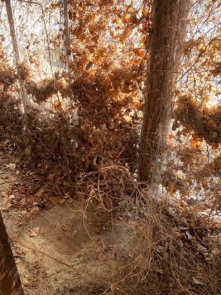 部屋2のアフター