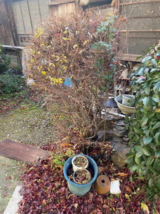 外周りのビフォア