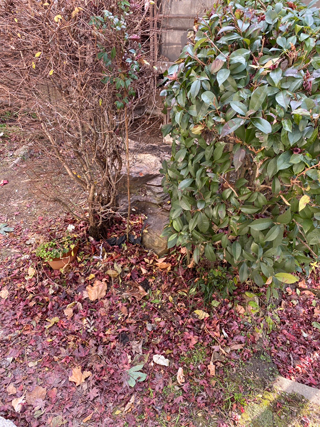 外周りのアフター