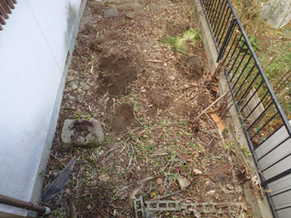 裏庭のアフター