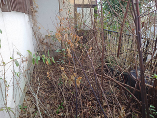 裏庭から勝手口のビフォア