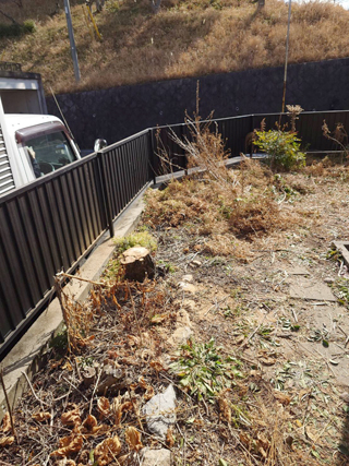 1本目の木のアフター