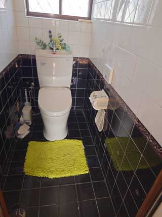 母屋トイレのビフォア