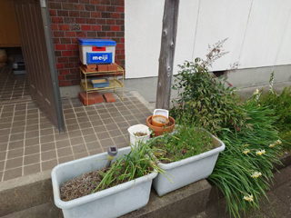 玄関前のビフォア