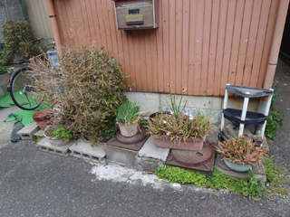 道路右手のビフォアアフター<