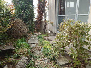 庭のビフォアアフター