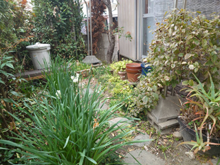 庭のビフォアアフター